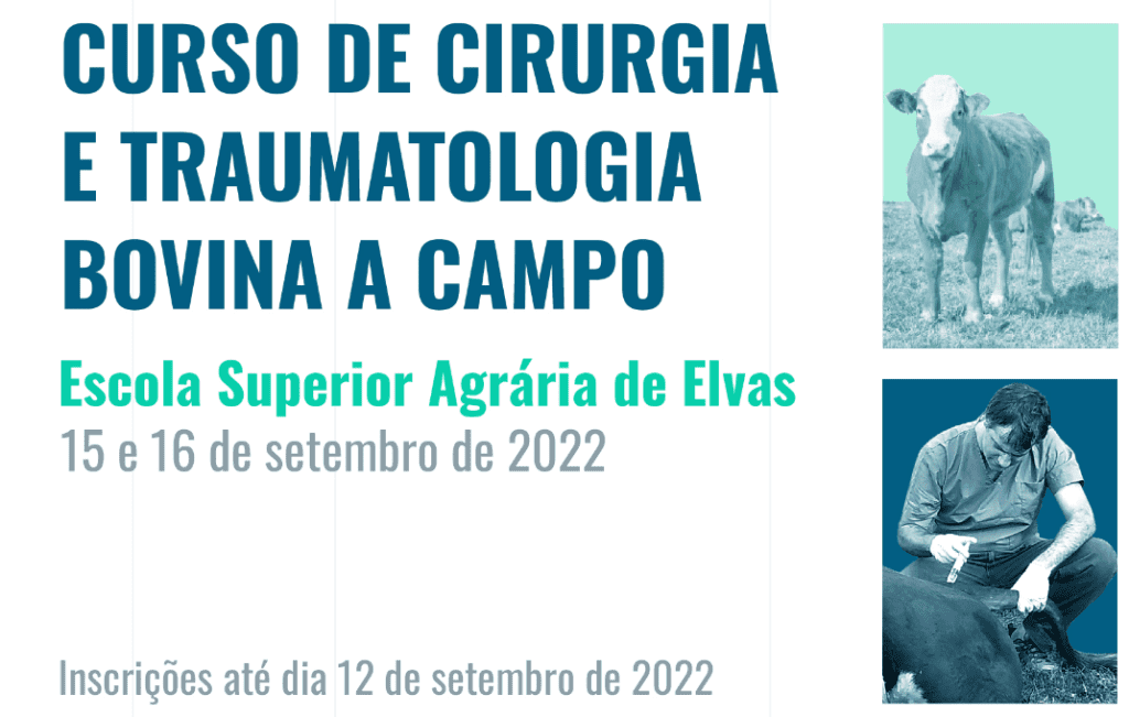 ELVAS ACOLHE CURSO DE CIRURGIA E TRAUMATOLOGIA BOVINA A CAMPO