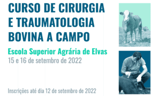 ELVAS ACOLHE CURSO DE CIRURGIA E TRAUMATOLOGIA BOVINA A CAMPO