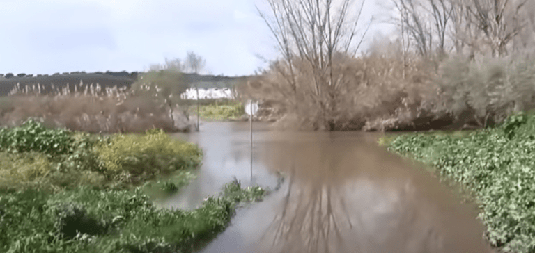 imagem 2023 03 17 163517770