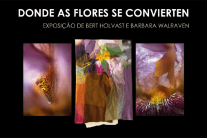 UMA NOVA ABORDAGEM NA ARTE: EXPOSIÇÃO CONJUNTA DE BERT HOLVAST E BÁRBARA WALRAVEN EM CASTELO DE VIDE!