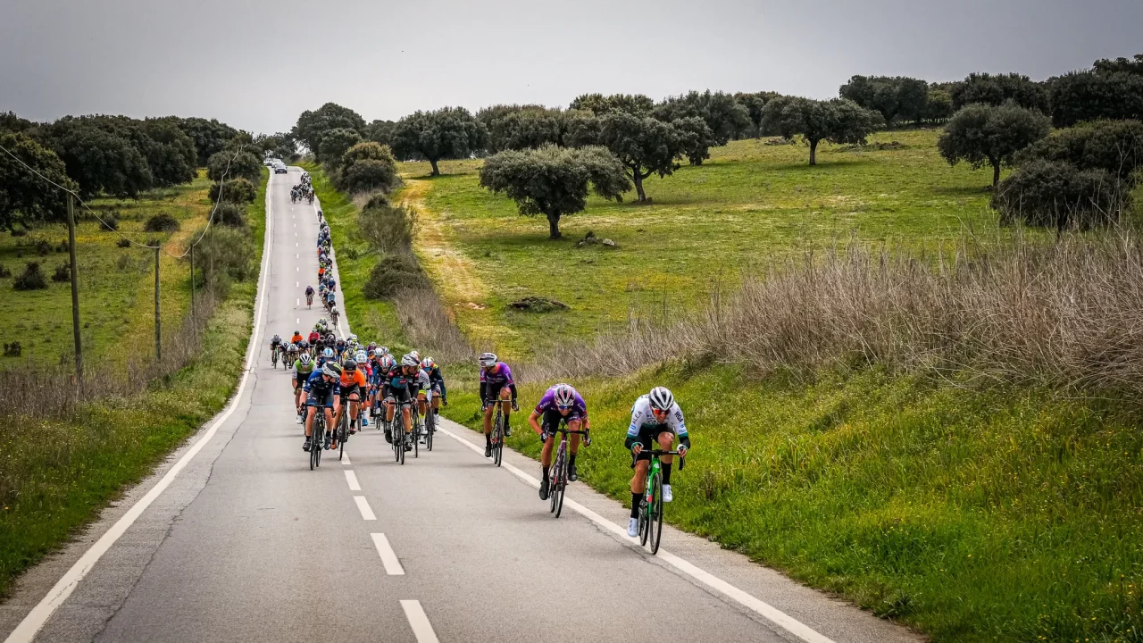 276004470 4843481412366833 5575760826080699864 n jpg