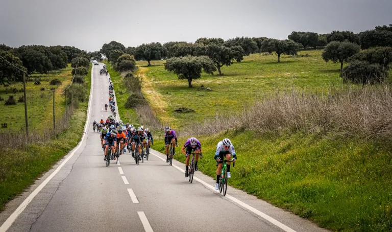 276004470 4843481412366833 5575760826080699864 n jpg