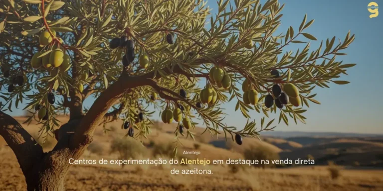 ABERTURA DE HASTA PÚBLICA