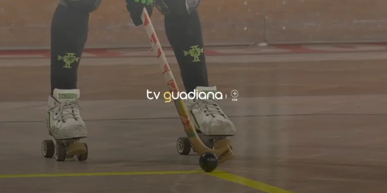 campeonato placard de hóquei em patins