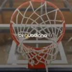 Liga Betclic de Basquetebol