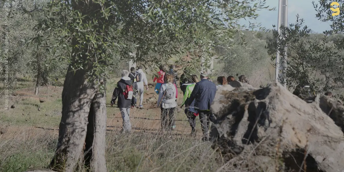 CAMINHADA DO CANTE E DA TERRA