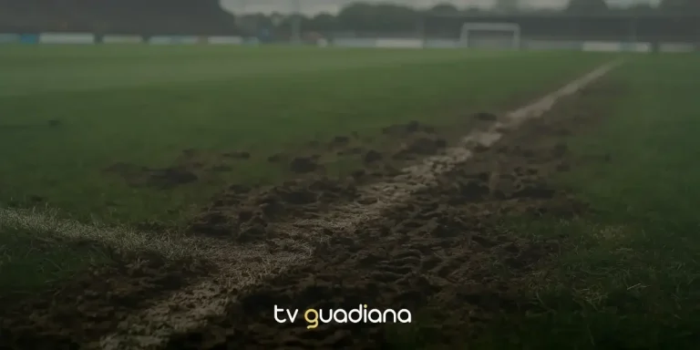 Apuramento da Taça Revelação