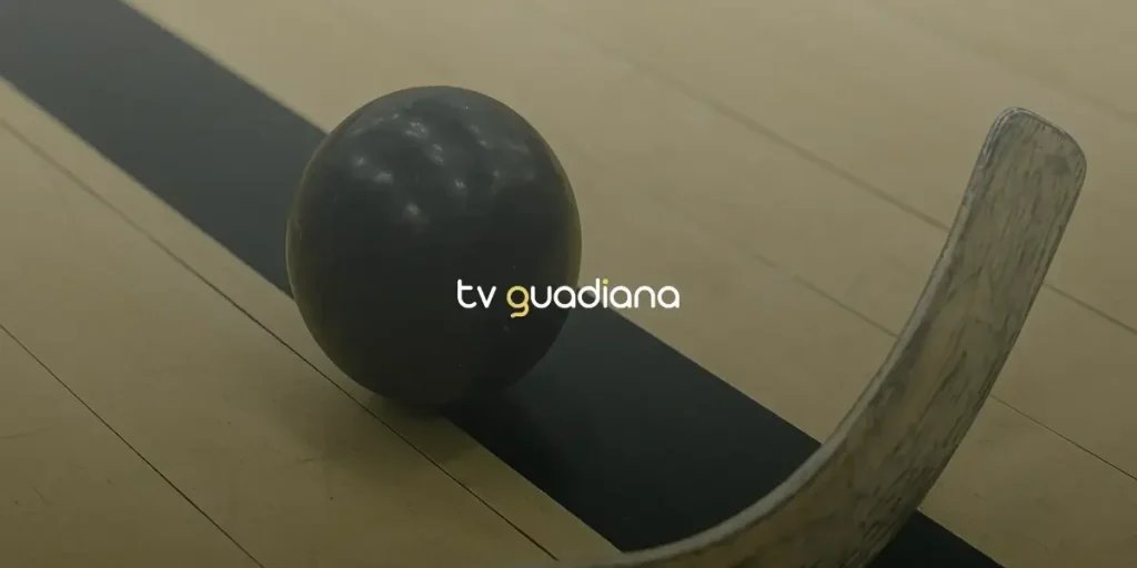 CHAMPIONS DE HÓQUEI EM PATINS