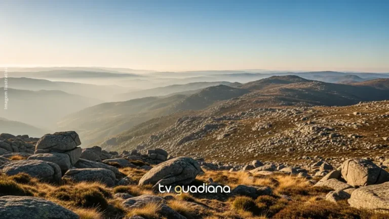 conselho portugues de gastronomia