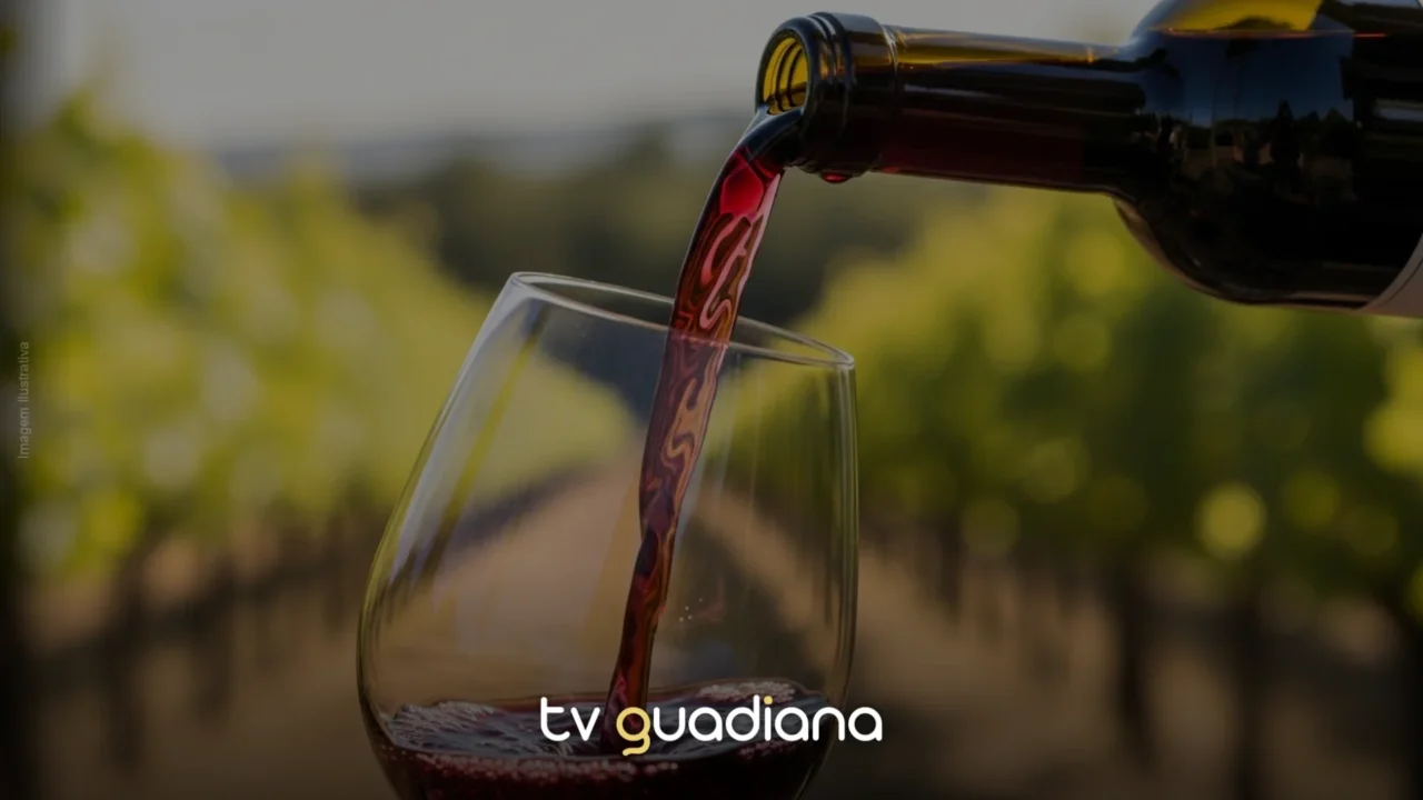 Vinhos de Altitude – Serra de São Mamede