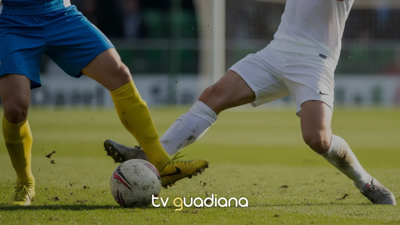 transferir (15)-edit