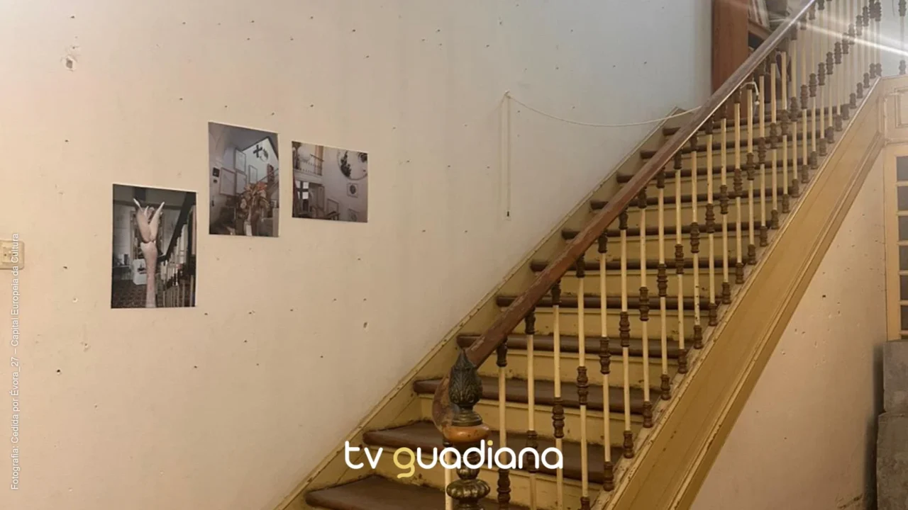 casa-atelier-joao-cutileiro